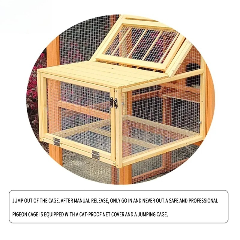 새로운 디자인의 대형 방수 목재 야외 비둘기 및 가금류 - Urban Farming House 리뷰 및 가격