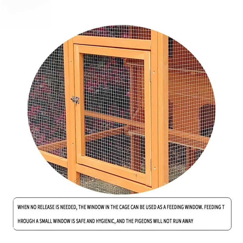 새로운 디자인의 대형 방수 목재 야외 비둘기 및 가금류 - Urban Farming House 리뷰 및 가격