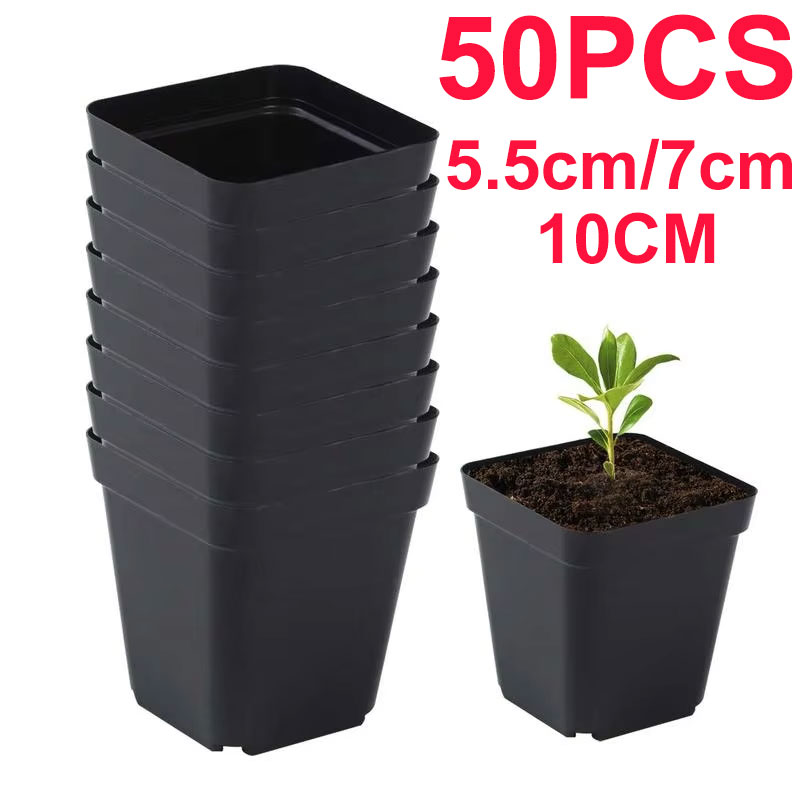 묘목 냄비 50Pcs 광장 식물 씨앗-심기 컵 플라스틱 - Net Pot 3 Inch 리뷰 및 가격