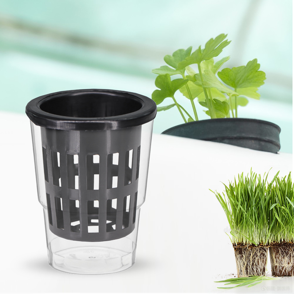 온실 블랙 플라스틱 슬롯 메쉬 컵, 수경 재배 냄비 바 - Net Pot 3 Inch 리뷰 및 가격