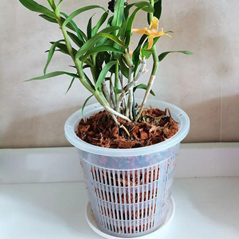 11/14/16/19cm 메쉬 화분 뿌리 제어 투명 화 - Net Pot 3 Inch 리뷰 및 가격
